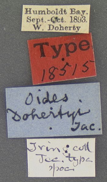 Media type: image; Entomology 18515   Aspect: labels